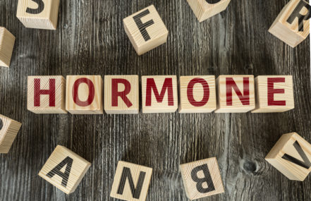 Wooden Blocks with the text: Hormone